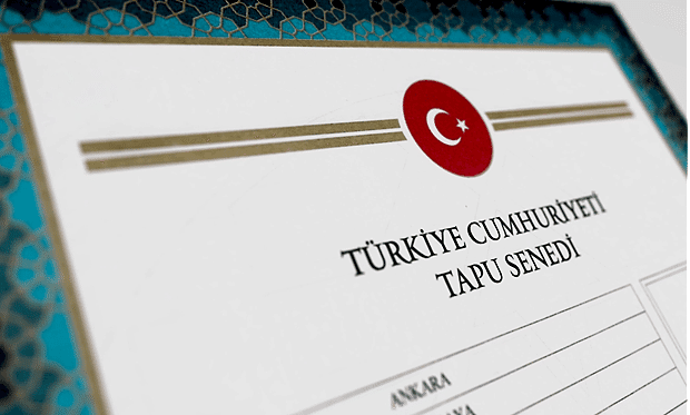 Muris Muvazaası Nedir?