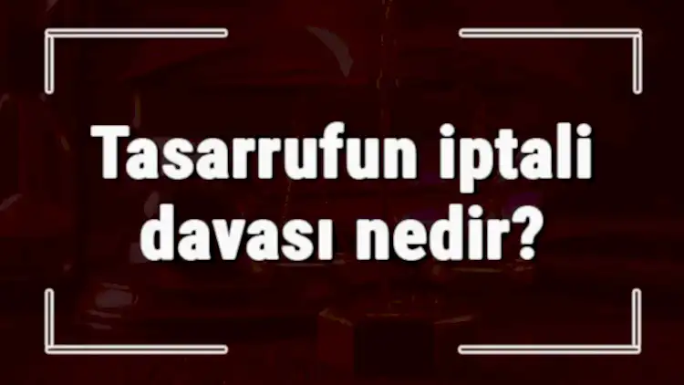 TASARRUFUN İPTALİ DAVASI NEDİR?